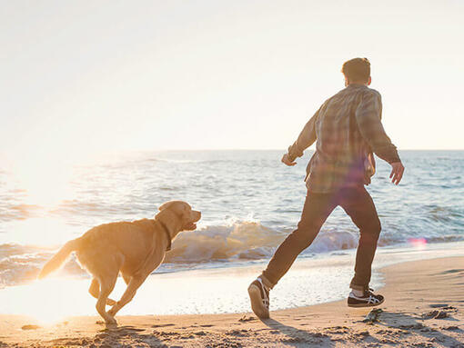 Čovek i pas trče po plaži
