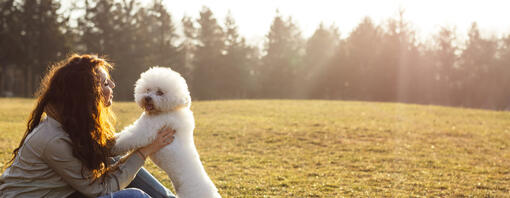 Bichon Frise sa vlasnikom