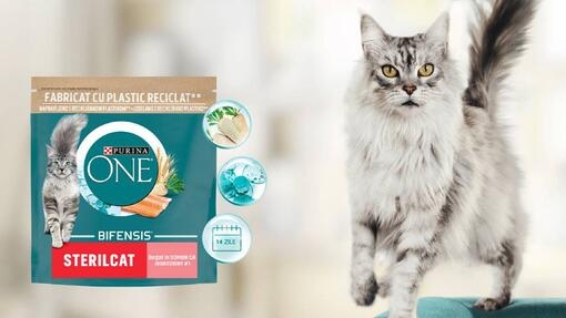 Purina One hrana za kućne ljubimce sa mačkom